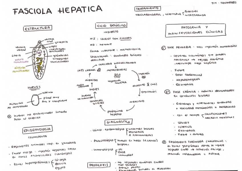 Miniatura del documento Tema-14.pdf