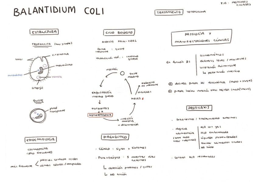 Miniatura del documento Tema-10.pdf