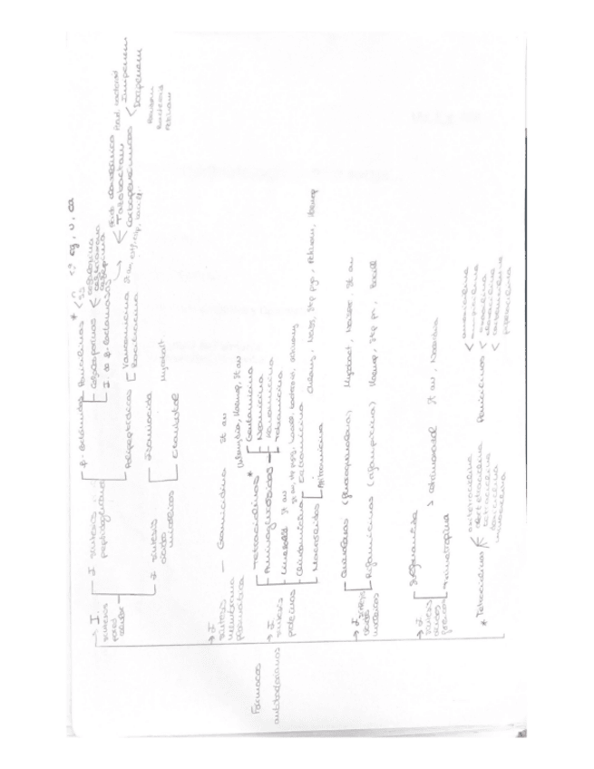 Miniatura del documento Farmacos-antibacterianos-esquema.pdf