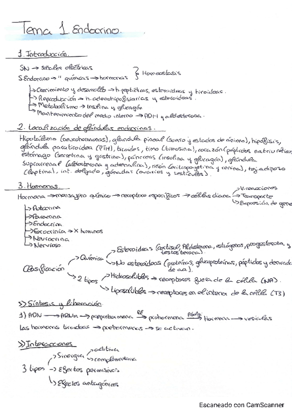 Miniatura del documento T1-Endocrino.pdf