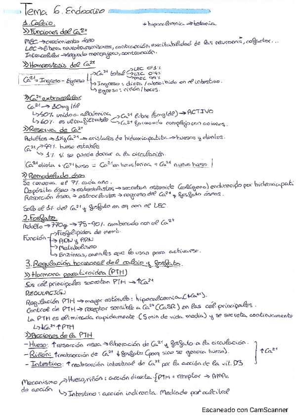 Miniatura del documento T6-Endocrino.pdf