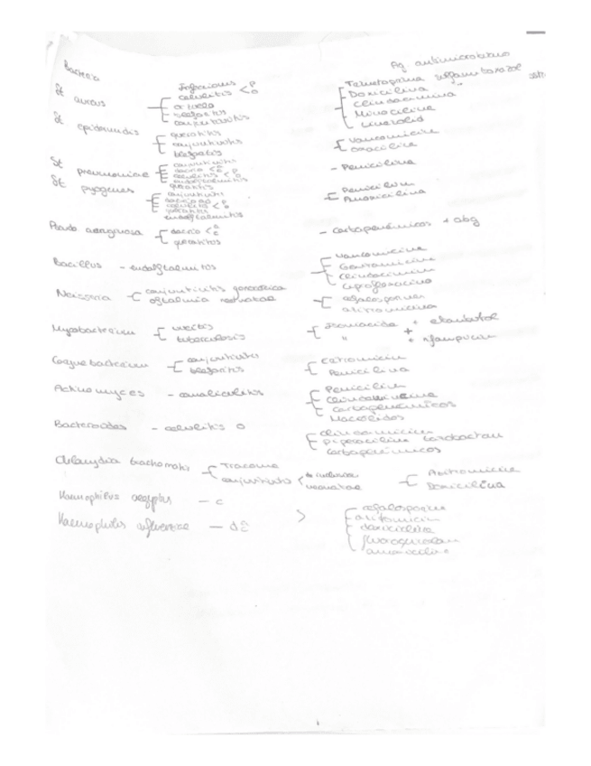 Miniatura del documento Bacterias-caracteristicas-y-enfermedades-esquema.pdf