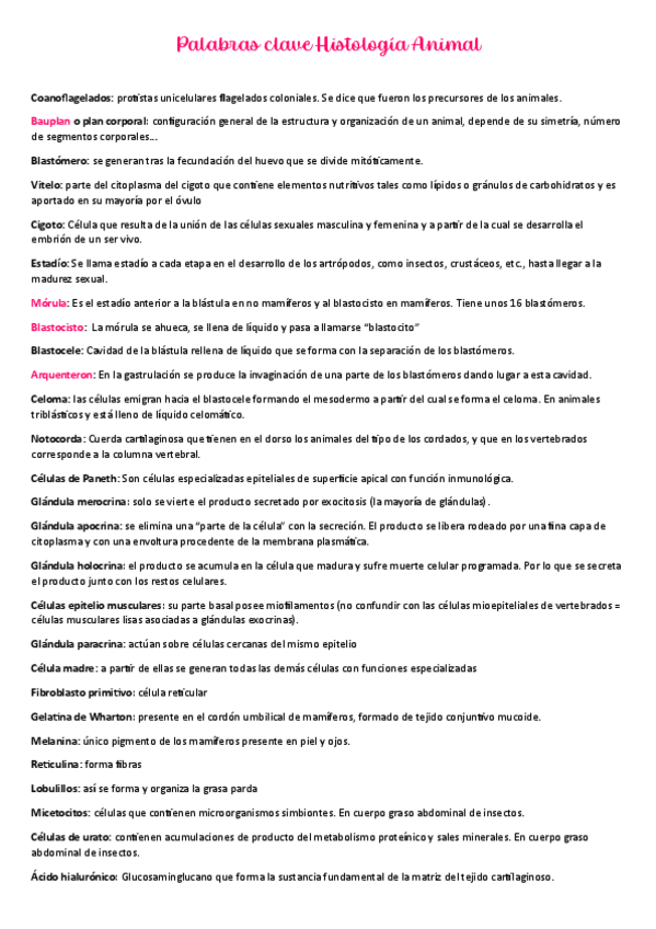 Miniatura del documento Palabras-clave-Animal.pdf
