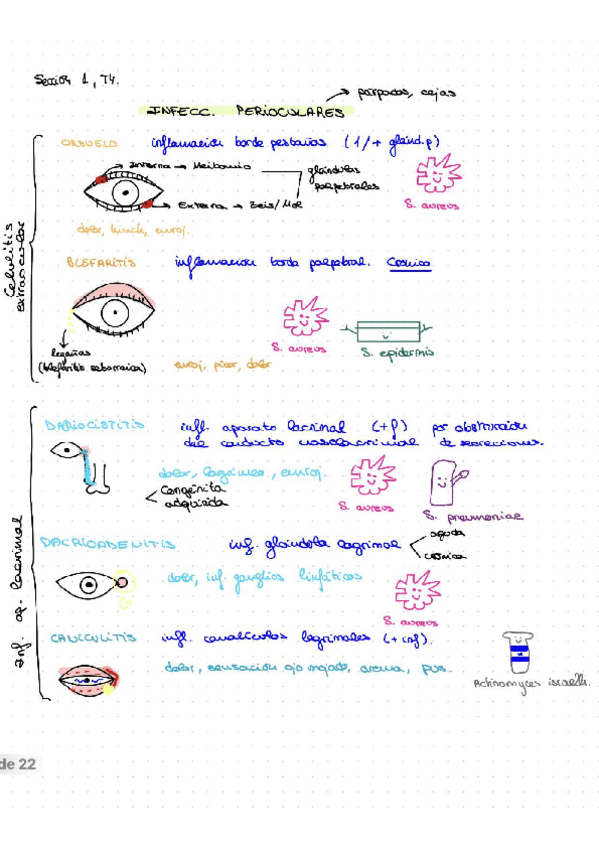 Miniatura del documento Esquemas-nemotecnicos-Seccion-I-T34-infecciones-oculares.pdf