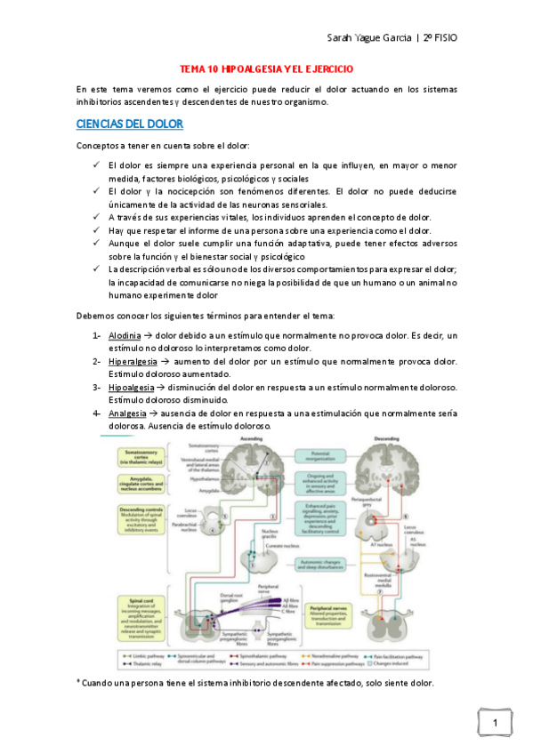 Miniatura del documento TEMA-10-Hipoalgesia-y-Ejercicio-Sarah-Yague.pdf
