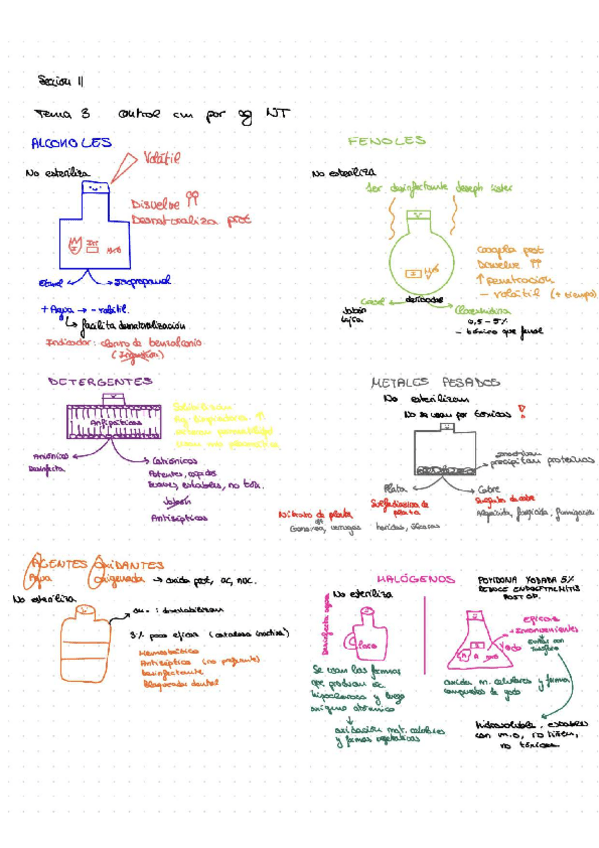 Miniatura del documento Esquemas-nemotecnicos-Seccion-II-T3.pdf