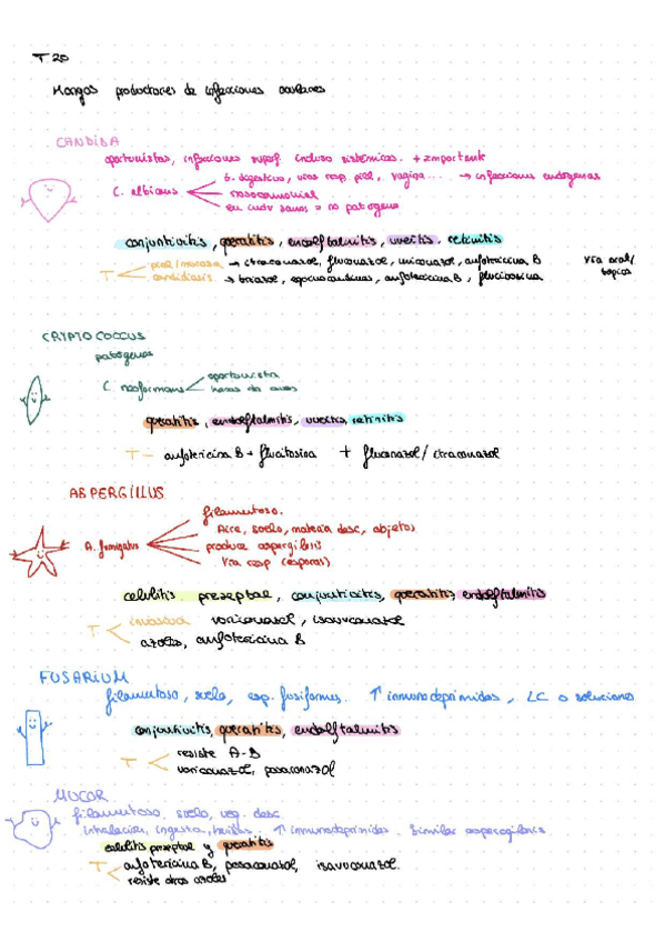 Miniatura del documento Esquema-hongos-y-virus-productores-de-infecciones-oculares.pdf