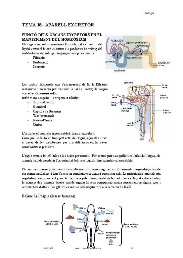 Miniatura del documento Tema-18.-Aparell-excretor.pdf
