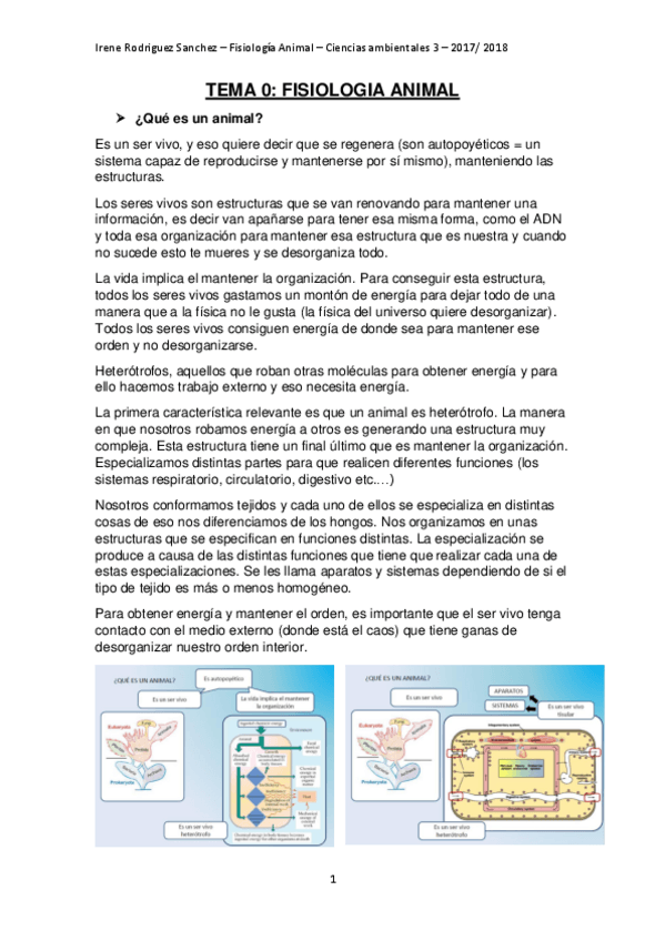 Miniatura del documento Tema 0 Introducción bueno.pdf