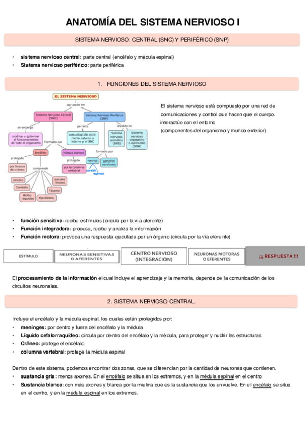 Miniatura del documento Anatomia-Sis.-Nervioso-I.pdf