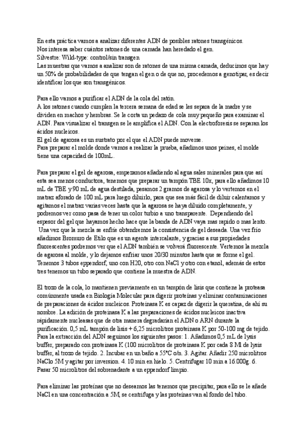 Miniatura del documento informe-practica-de-biologia.pdf
