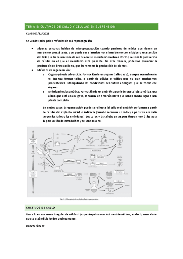 Miniatura del documento TEMA10CULTIVOS.pdf