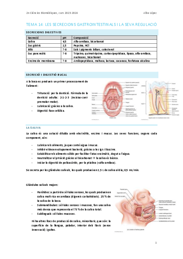 Miniatura del documento Tema-14.-Secrecions-gastrointestinals.pdf