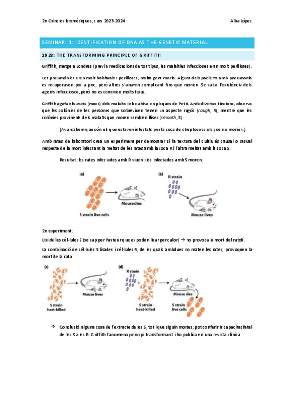 Miniatura del documento Tots-els-seminaris-de-genmol-23-24.pdf