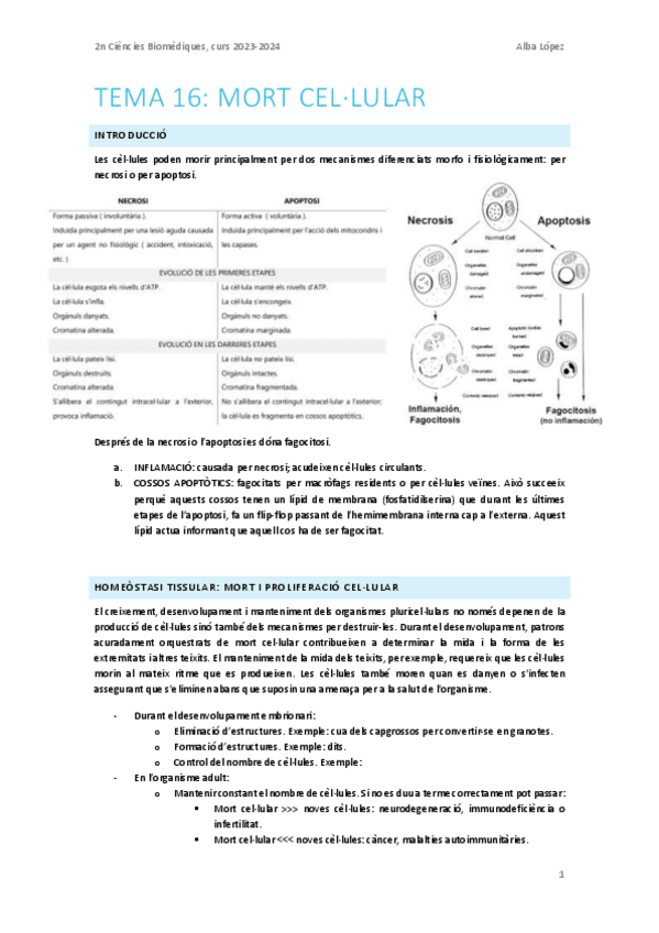 Miniatura del documento Tema-16.-Mort-cellular.pdf
