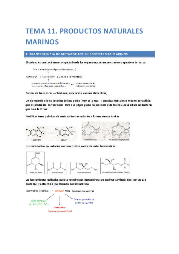 Miniatura del documento Tema11.ProductosNaturalesQAdocx.pdf