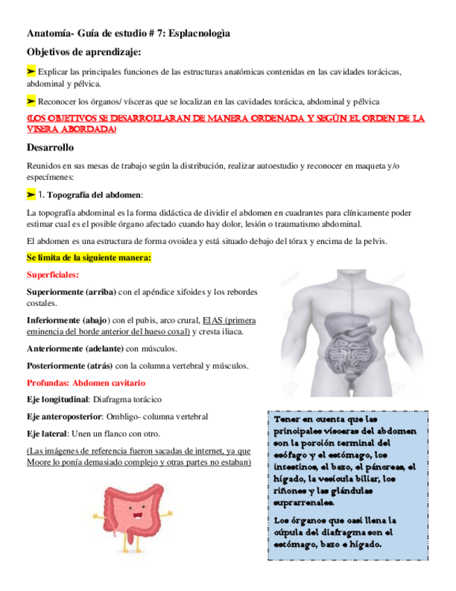 Miniatura del documento Esplacnologia.pdf