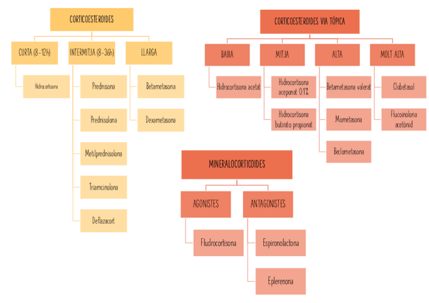 Miniatura del documento t7yt8-farma-esquemas.pdf