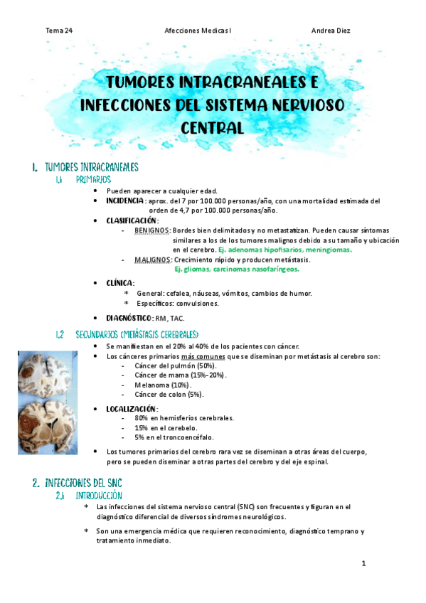Miniatura del documento Tema-24-Tumores-intracraneales-e-infecciones-del-SNC.pdf