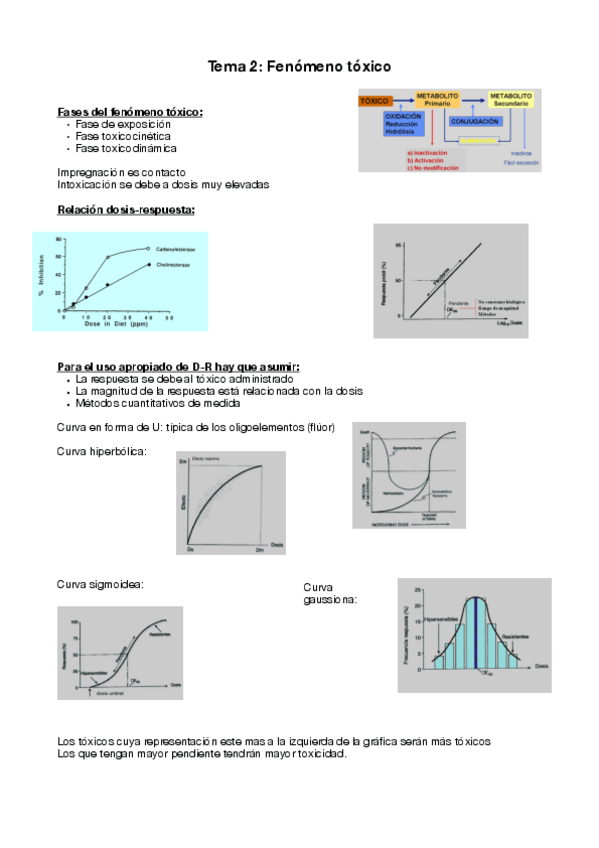 Miniatura del documento Tema-2.pdf