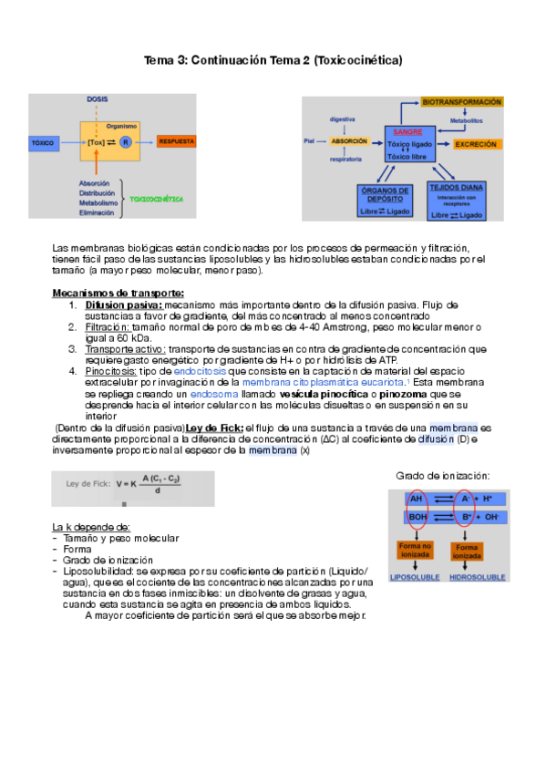 Miniatura del documento Tema-3.pdf