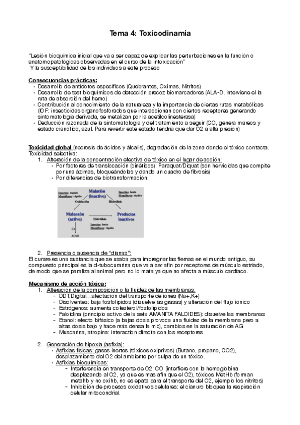 Miniatura del documento Tema-4.pdf