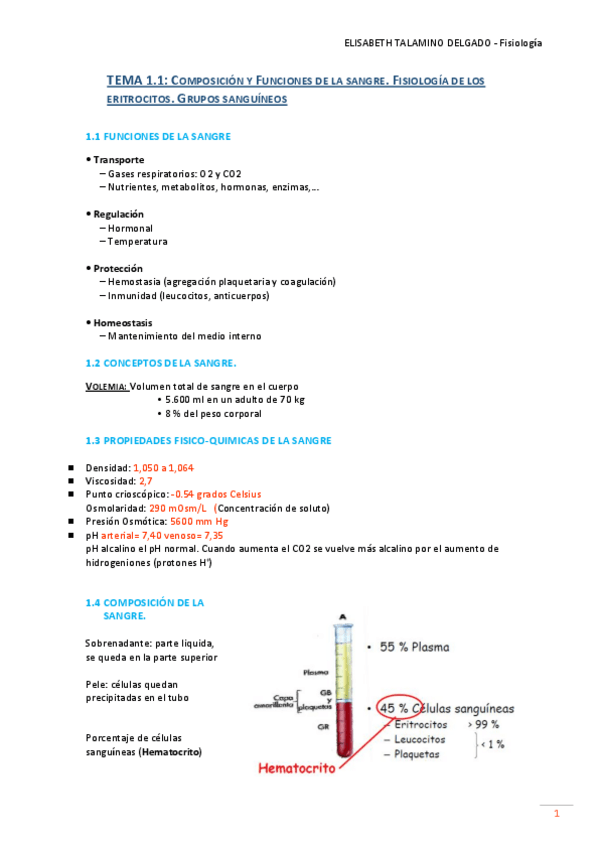 Miniatura del documento T1.1 COMPOSICIÓN Y FUNCIONES DE LA SANGRE.pdf