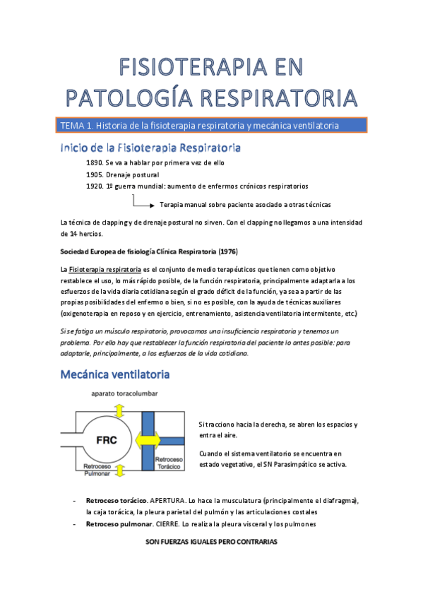 Miniatura del documento RESPI-COMPLETO.pdf