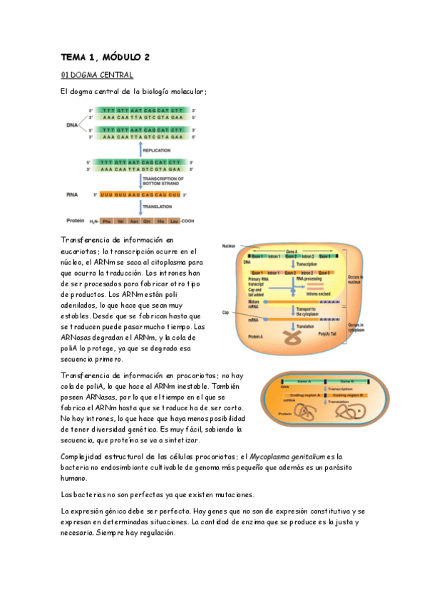 Miniatura del documento MT1-M2.pdf