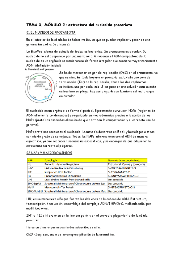 Miniatura del documento MT3-M2.pdf