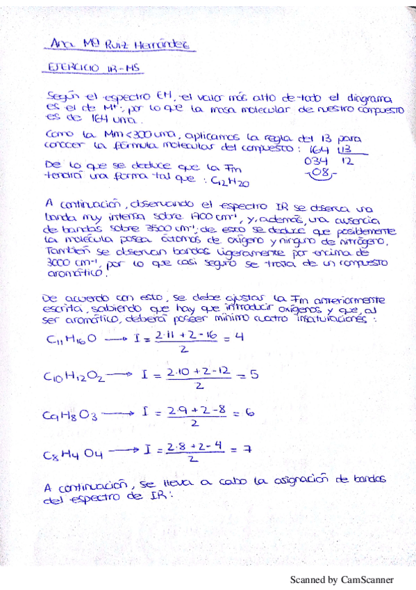 Miniatura del documento RUIZ_HERNANDEZ_ANAMARIA.pdf