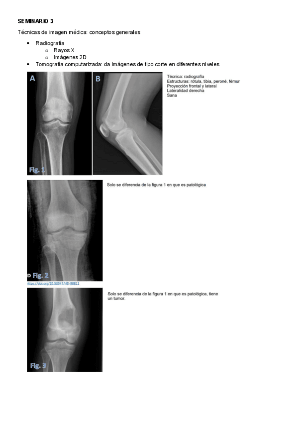 Miniatura del documento seminario-3.pdf