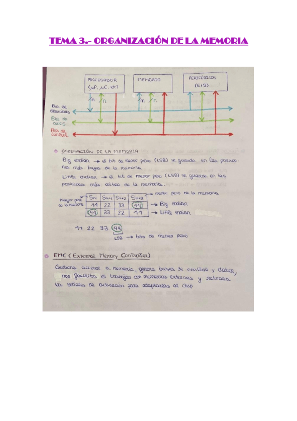Miniatura del documento TEMA-3-Organizacion-de-la-memoria.pdf