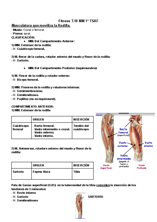 Miniatura del documento Fitness-T.10-MM-1o-TSAF.pdf