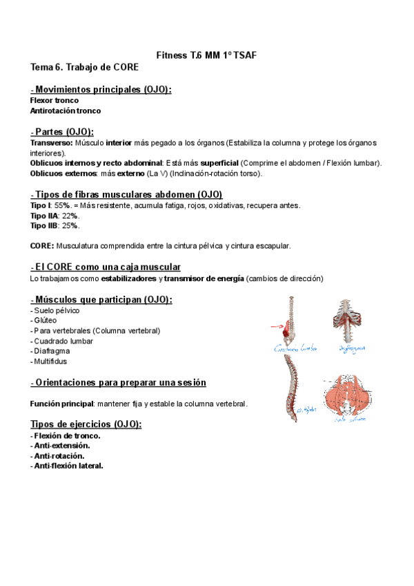 Miniatura del documento Fitness-T.6-MM-1o-TSAF.pdf