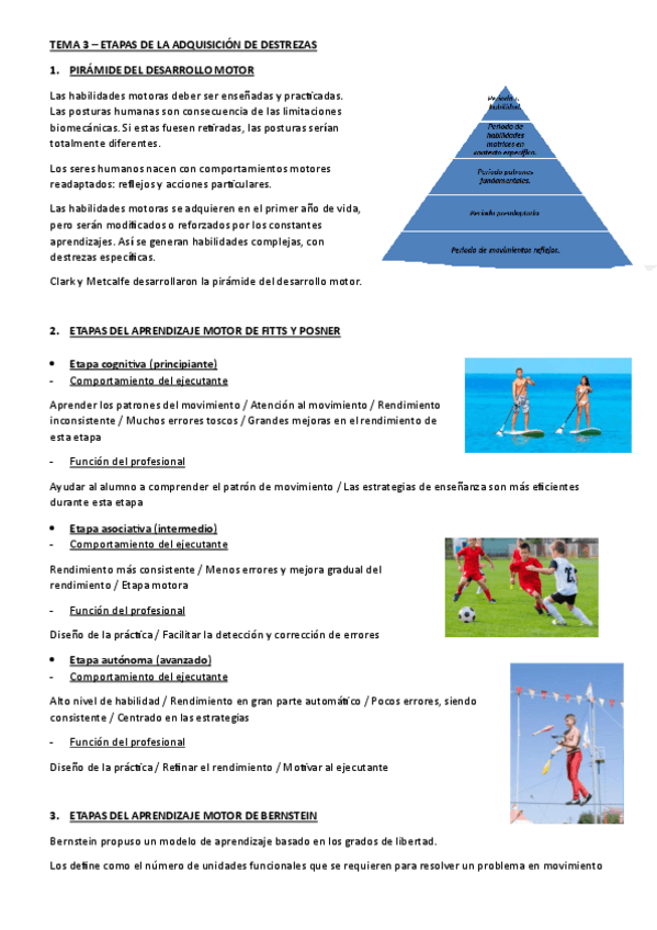 Miniatura del documento TEMA-3-ETAPAS-DE-LA-ADQUISICION-DE-DESTREZAS.pdf