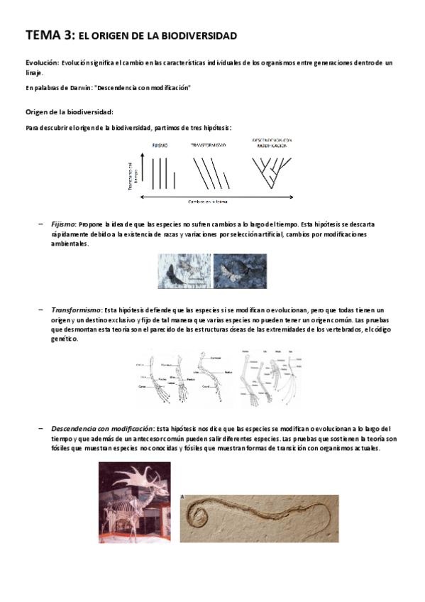 Miniatura del documento TEMA-3-Origen-de-la-biodiversidad.pdf