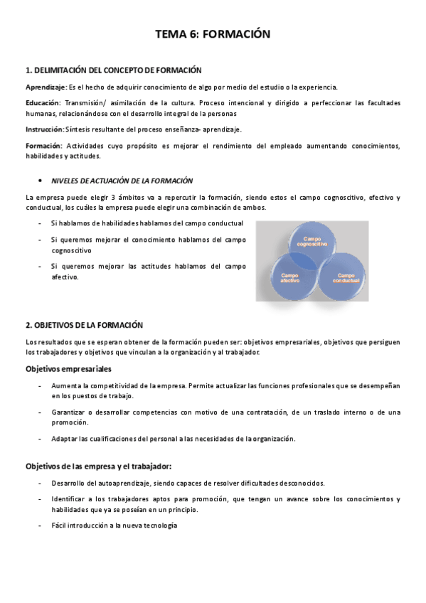 Miniatura del documento TEMA-6.-FORMACION-Y-DESARROLLO-DE-CARRERAS.pdf
