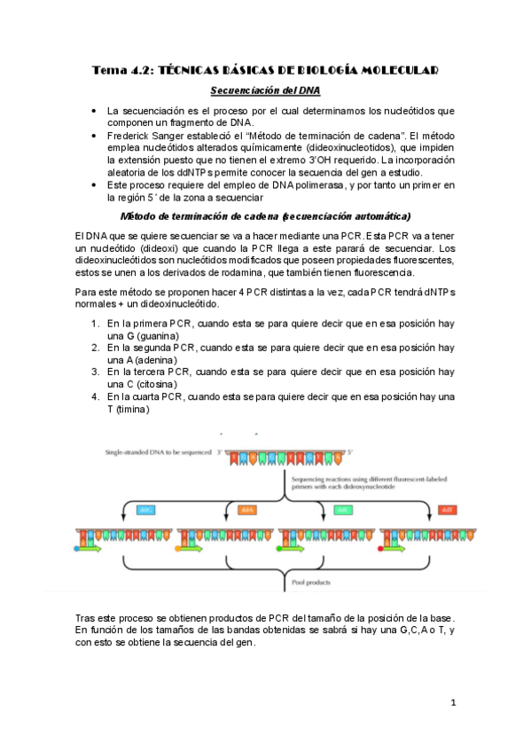 Miniatura del documento Tema-4.2.pdf