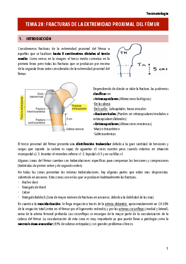 Miniatura del documento T28-FRACTURAS-DE-LA-EXTREMIDAD-PROXIMAL-DEL-FEMUR.pdf