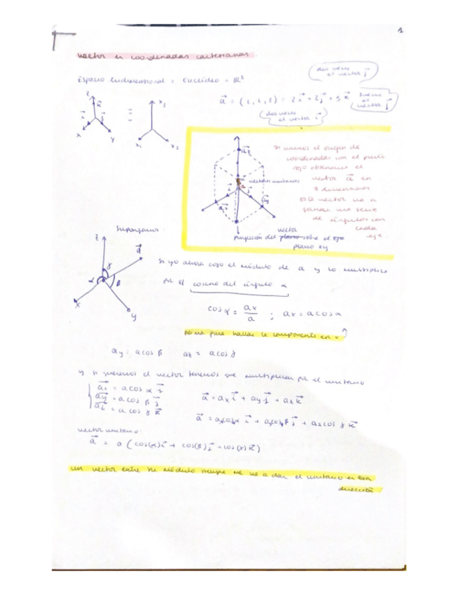 Miniatura del documento apuntes-preeliminares-importantes-vectores.pdf