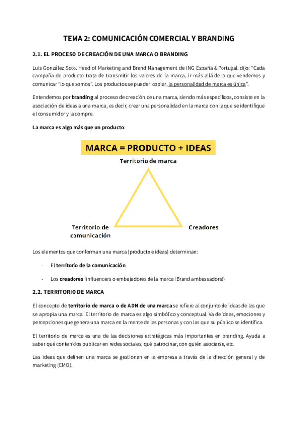 Miniatura del documento TEMA-2-COMUNICACION-COMERCIAL-Y-BRANDING.pdf