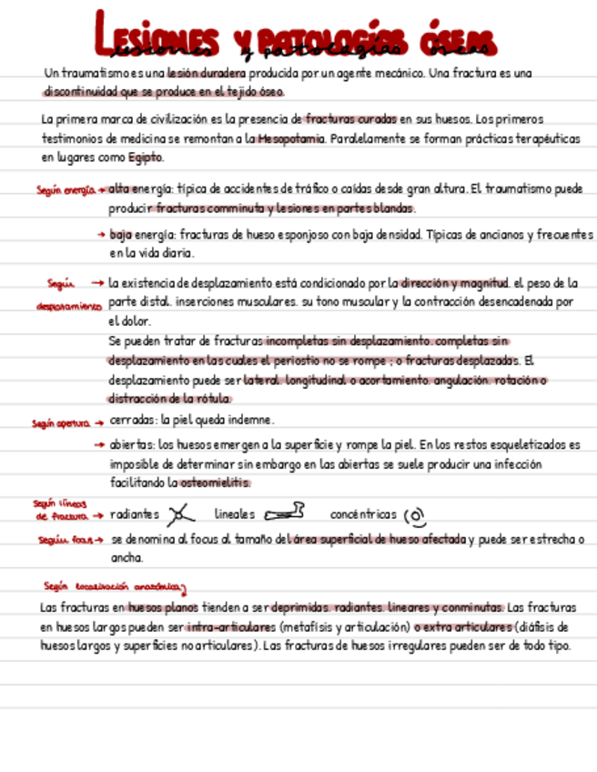 Miniatura del documento Antropologia-Forense-Avanzada-T10.pdf