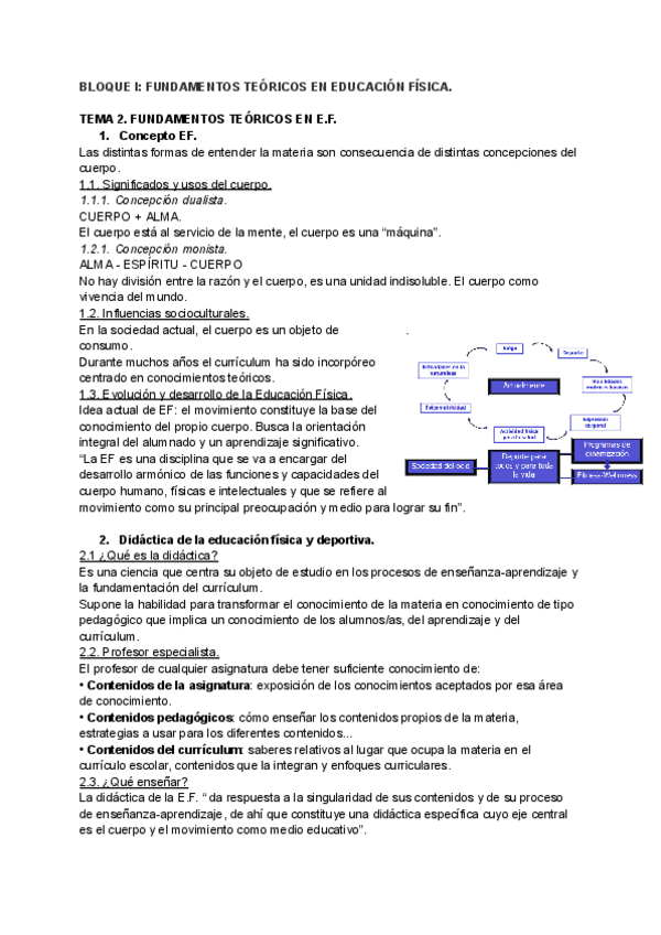Miniatura del documento APUNTES-EDUCACION-FISICA.pdf