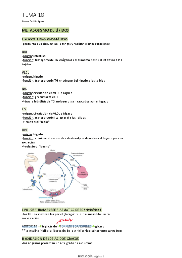 Miniatura del documento TEMA-18.pdf