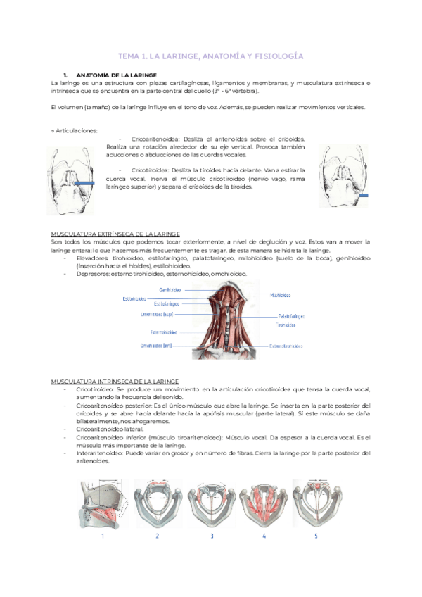 Miniatura del documento Tema-1.-La-laringe-anatomia-y-fisiologia.pdf