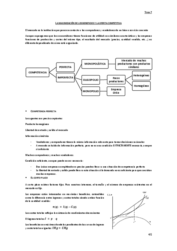 Miniatura del documento 07-Maximizacion-de-la-oferta-competitiva.pdf