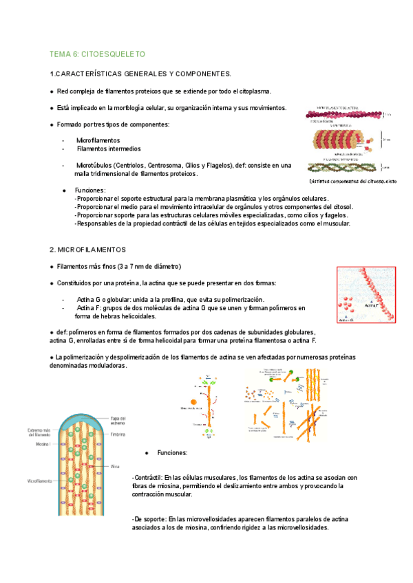 Miniatura del documento TEMA-6-BIO.pdf