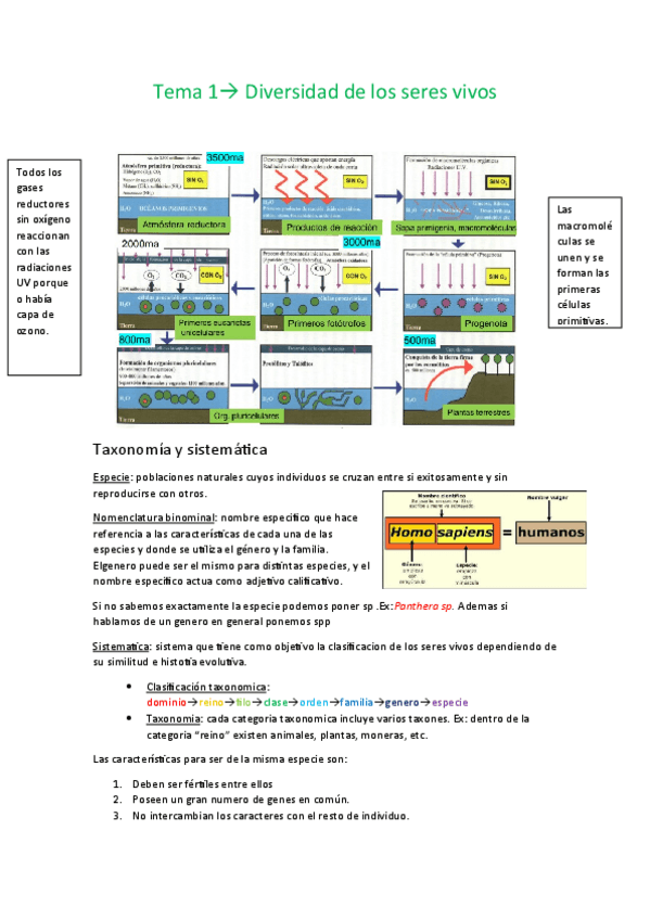 Miniatura del documento Tema-1-diversidad-de-los-seres-vivos.pdf