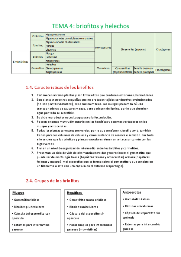 Miniatura del documento Tema-4-briofitos-y-helechos.pdf